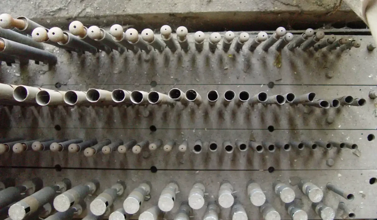 organo 1
